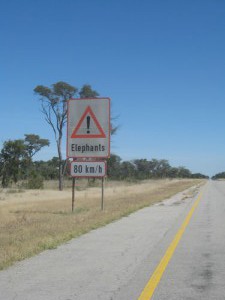 Is this a speed limit for elephants or cars? Caprivi Strip