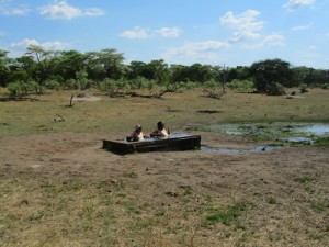 Bathtime In The Bush Hwange